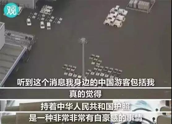 南阳金牛彩印集团有限公司