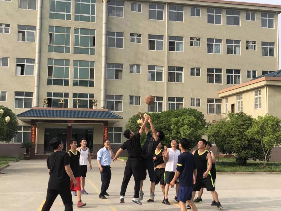 南阳金牛彩印集团有限公司